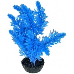 Arbre bleu PM LABEO