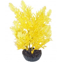 Arbre jaune PM LABEO