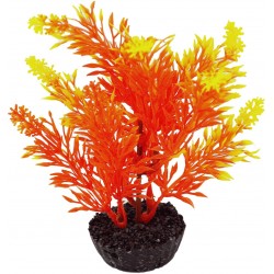Arbre orange PM LABEO