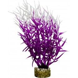 Herbe marine colorée violet...