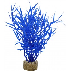 Herbe marine colorée bleue...