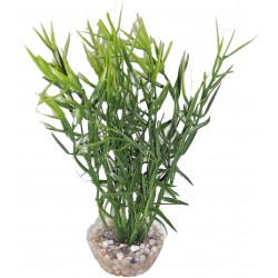 Herbe marine colorée verte...