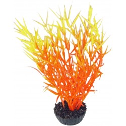 Herbe marine colorée orange...