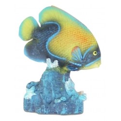 Poisson marin assortiment...