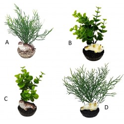 Décor phoque assortiment LABEO