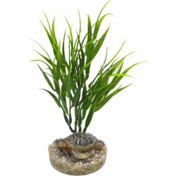 Décor tortue assortiment LABEO