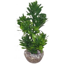 Arbre hop vert LABEO