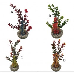 Hippocampe coloré...