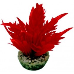 Décor hop rouge LABEO