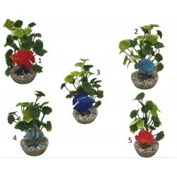 Décor poisson eau douce...