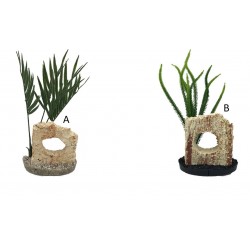 Décor aquaroche n2 vert...