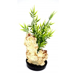 Décor aquaroche n3 vert LABEO