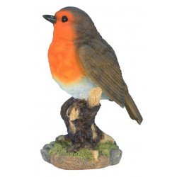 Rouge-gorge sur branche...