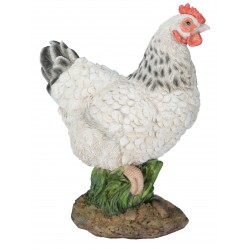 Poule naine blanche 27cm...