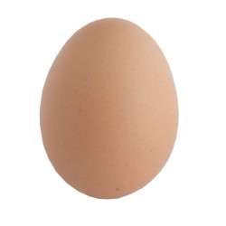 Oeuf résine orange 7cm