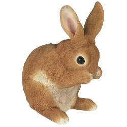 Lapereau pattes s/ museau...