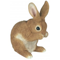 Lapin pattes sur museau...