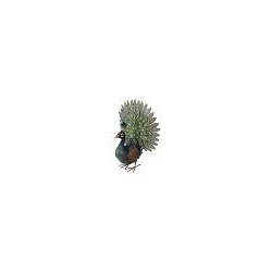 Paon roue RIVIERA DECO 49CM...
