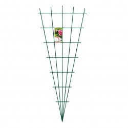 Treillage Peacock éventail...