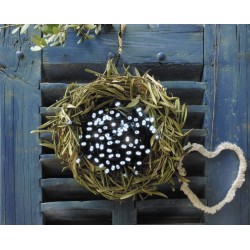 Guirlande Solaire Led Blanc...