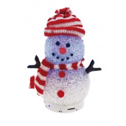 Enceinte bonhomme de neige...