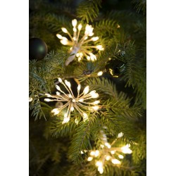 Bouquets super brillant...