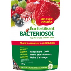 Bacteriosol fraise/petits...