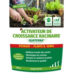 Quaterna croissance potager...