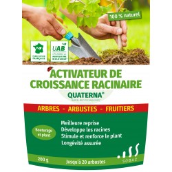 Quaterna croissance arbres...