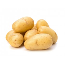 ACTIGERME Pomme de terre...