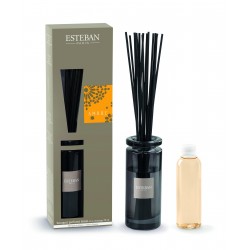 Bouquet parfumé initial +...