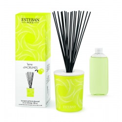 Bouquet parfumé + recharge...