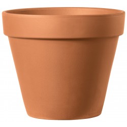 Vase BRUT COTTO terre cuite...