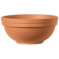 Coupe GIGANTI Terre cuite...