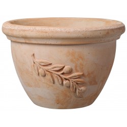 Coupe OLIVADE terre cuite...