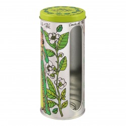 Boite à fenêtre thé menthe