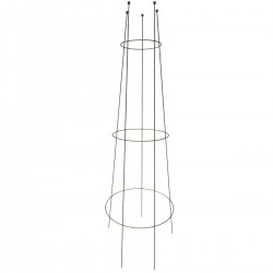 Petit tuteur grimpant peint...