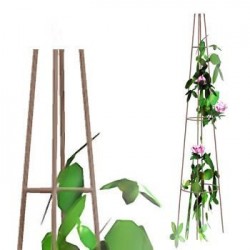 Tuteur rosier & grimpants h180