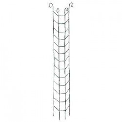 Colonne Grimpante Volute H170
