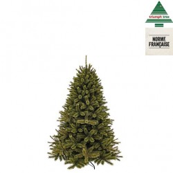 Sapin Forest Frosted Vert...
