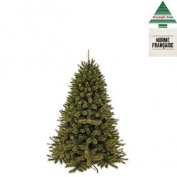 Sapin Forest Frosted Vert...
