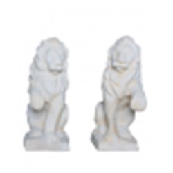 Lion regardant a droite...