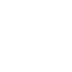 Jarditalus schiste...