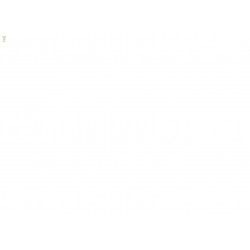 Jarditalus schiste...