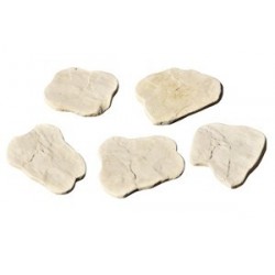 Pas japonais multiform w.h....