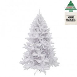 Sapin icelandic blc irise...