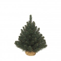 Sapin Alpine + Jute Vert En...