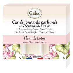 Carres fondants parfumes...