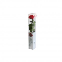 COFFRET Rose premium...