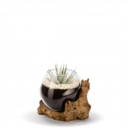 TERRARIUM autonome...